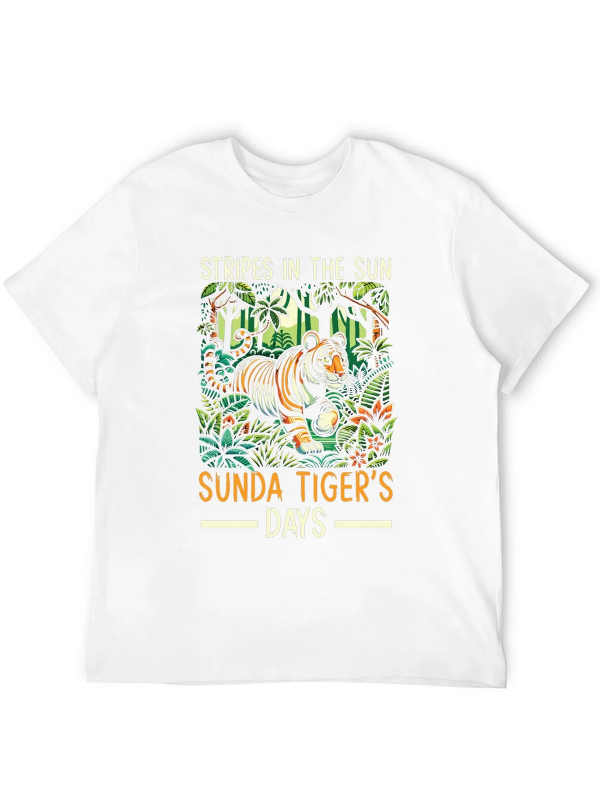 Stripes in the Sun Graphic Tee product image 9