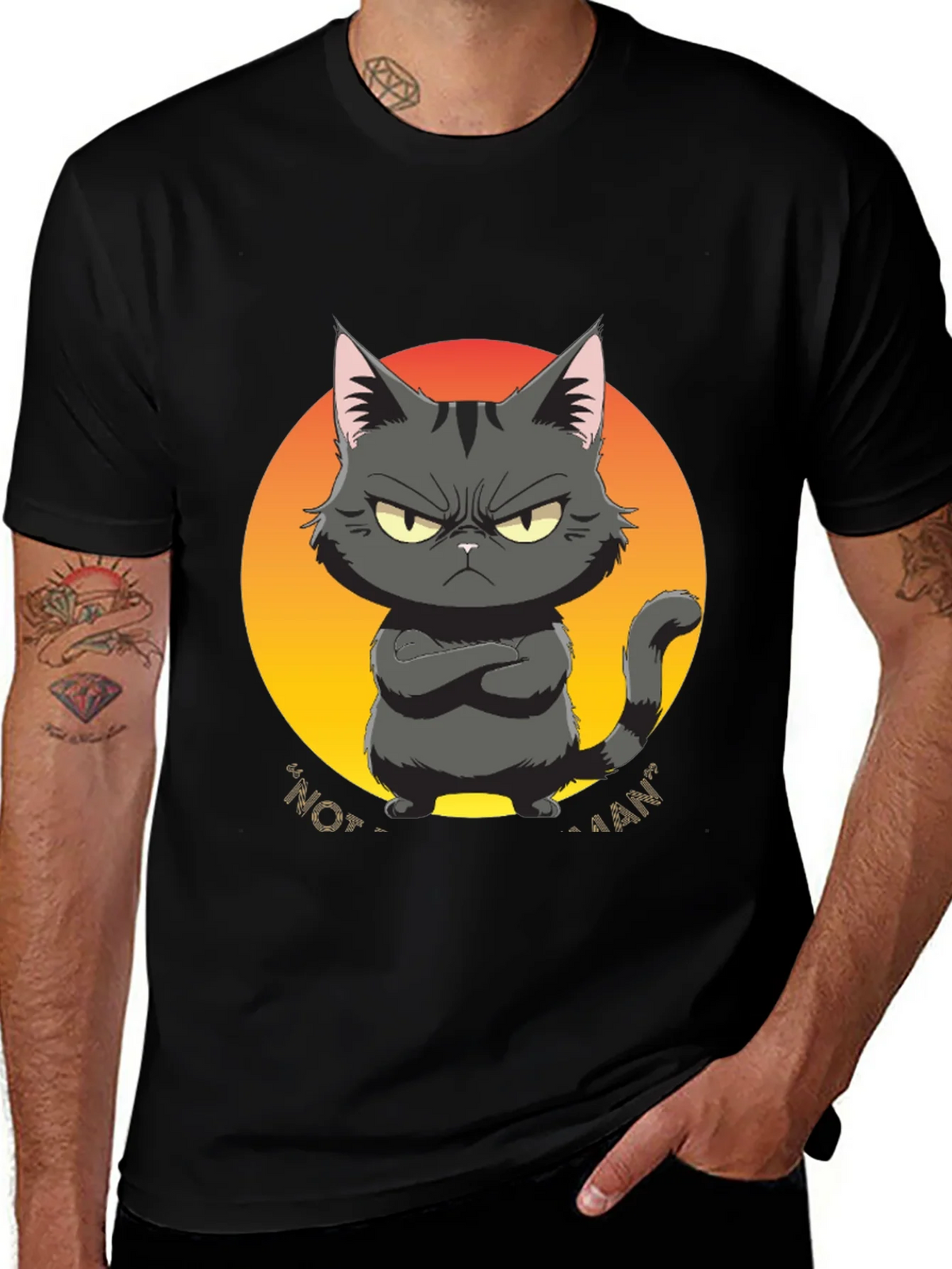 Grumpy Cat Graphic Tee - Not a Fan Black T-Shirt product image 1